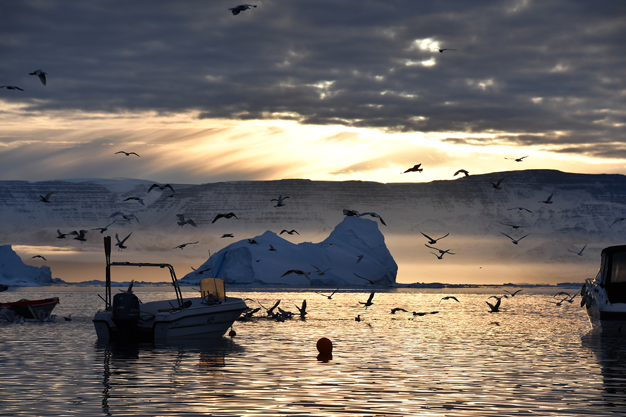 Fishing in Greenland