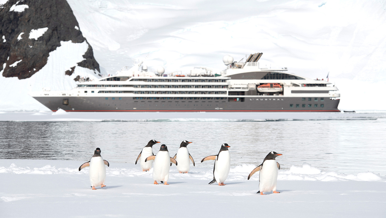 L'Austral und Pinguine