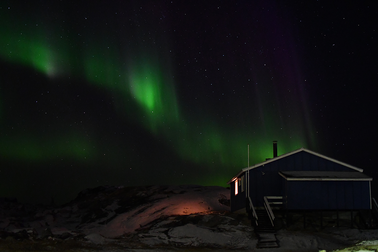 Nordlichtertour auf Grönland