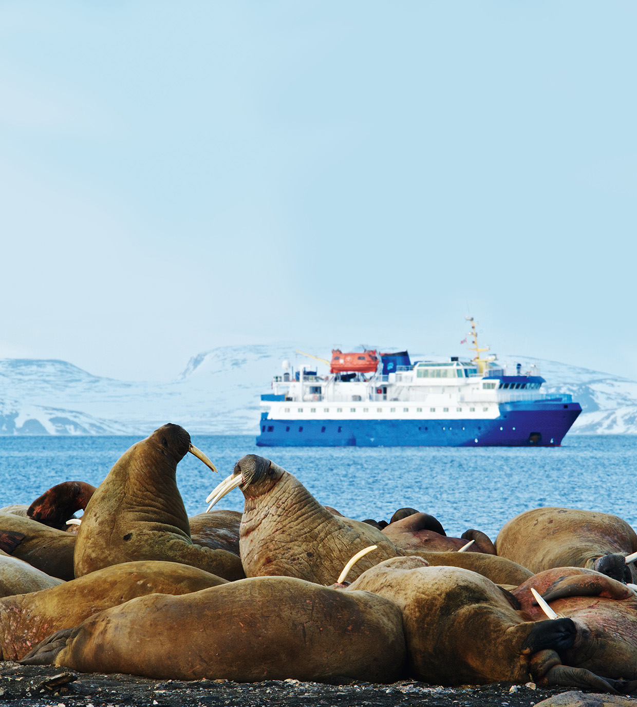 MV Quest on Svalbard