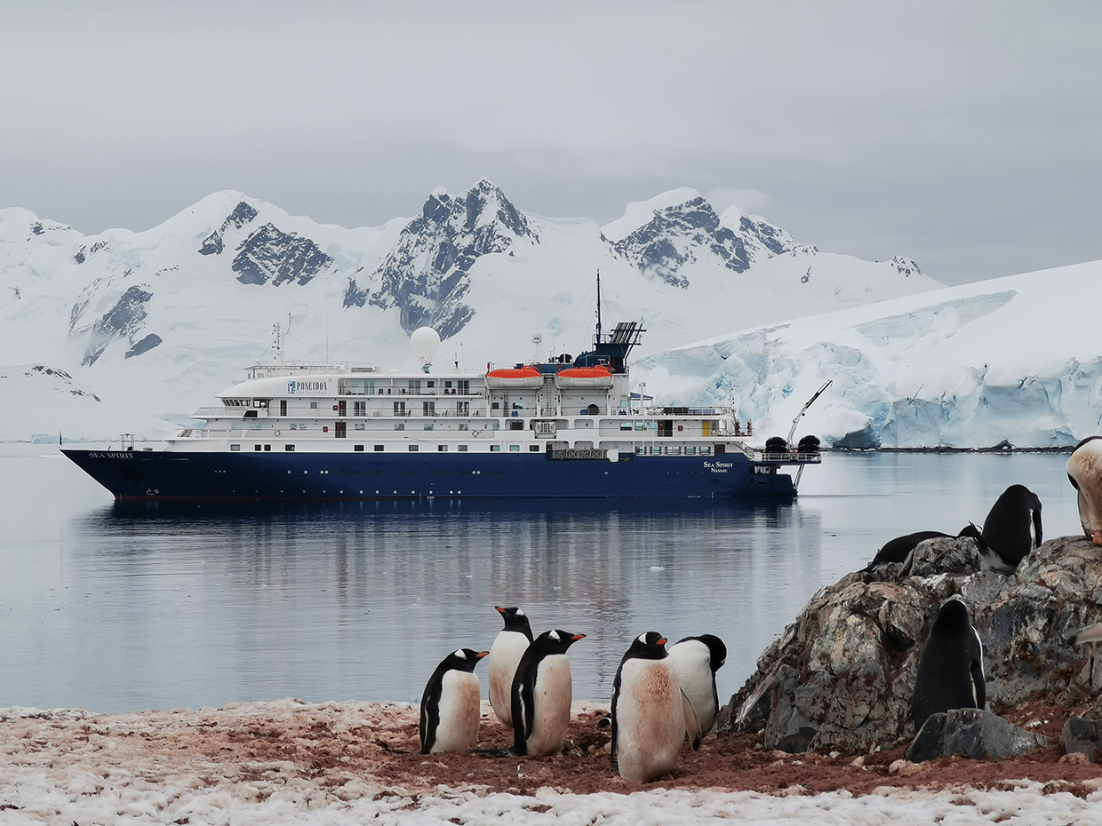 A travel with Sea Spirit to the penguins 