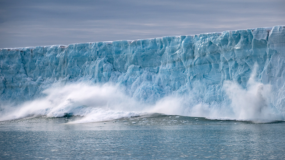 Bråsvellbreen Kalbung